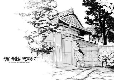 Ane Naru Mono: The Elder-Sister Like One 2 Chapter 1 page 25