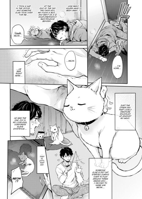 Kitty Petting Love Chapter 1 page 2