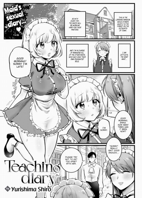 Teaching Diary Chapter 1 page 1