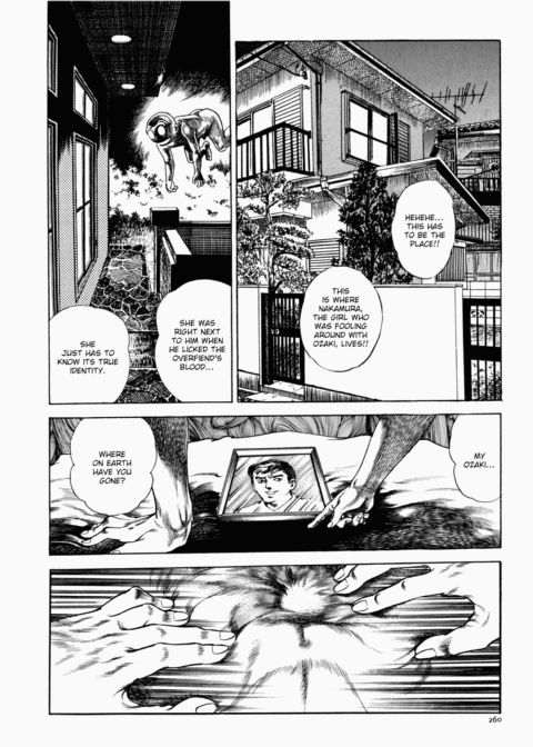 Urotsukidoji: Legend of the Overfiend - Volume 1 Chapter 1 page 261