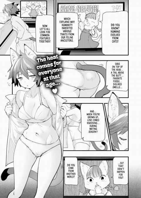 Planet of the Pussy Cats - Old Pal Chapter 1 page 2