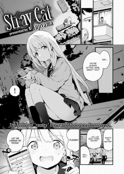 Stray Cat Chapter 1 page 1