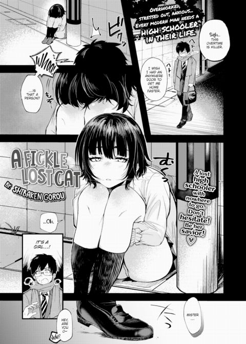 A Fickle Lost Cat Chapter 1 page 1