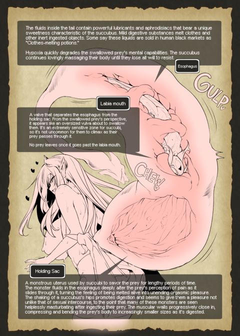 The Adventurer's Guide to Monsters - The Succubus's Secrets ❤ Chapter 1 page 5