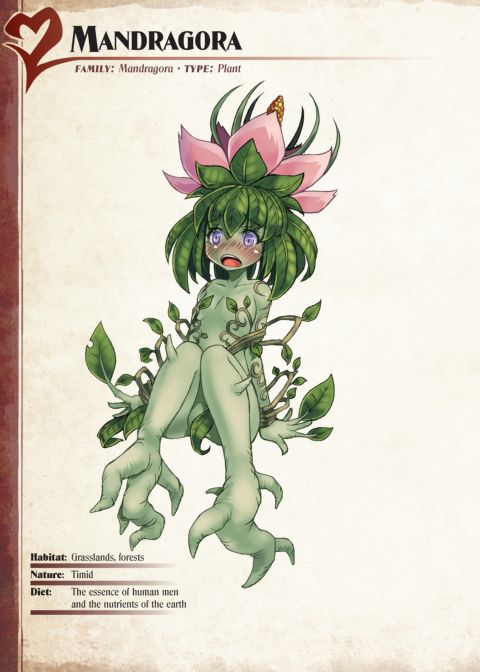 Monster Girl Encyclopedia I Chapter 1 page 38
