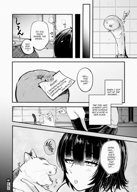 A Fickle Lost Cat Chapter 1 page 28