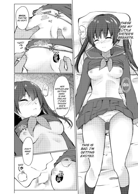 Slipping It Inside My Little Sister Chapter 1 page 12