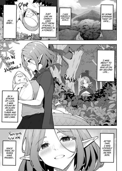 Taken in by an Overprotective Elf Chapter 1 page 4