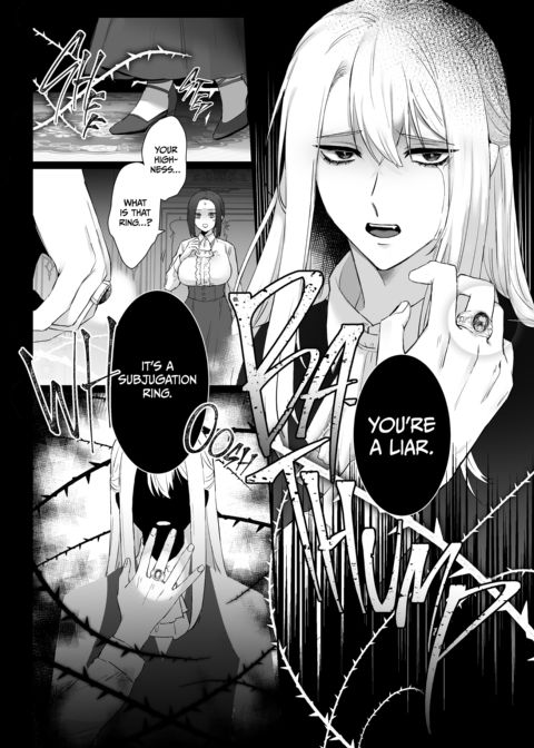 Love and Obsession: The Prince and His Princess Chapter 1 page 13