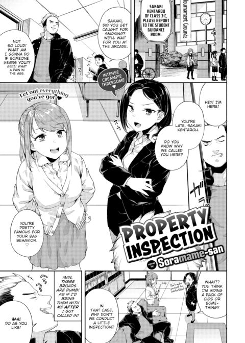 Property Inspection Chapter 1 page 1