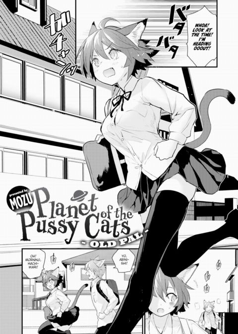 Planet of the Pussy Cats - Old Pal Chapter 1 page 3