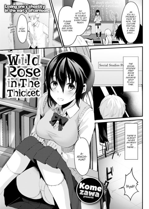 Wild Rose in The Thicket Chapter 1 page 1