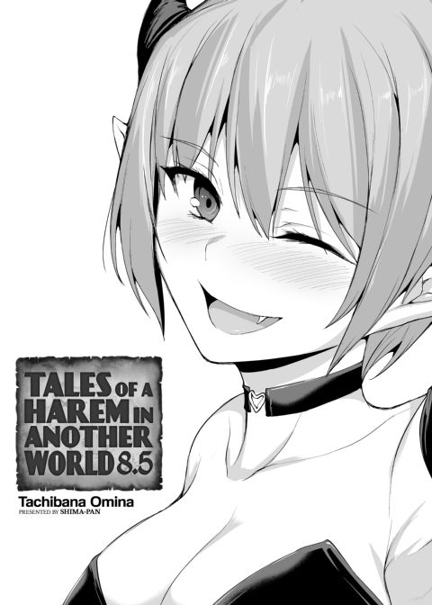 Tales of a Harem in Another World Vol. 8 - One Hero, One Inn, Six Girls + Vol. 8.5 Chapter 1 page 66