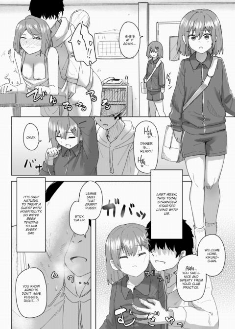 Common Sense Swap Diaries - A Hospitable Homestay Chapter 1 page 2