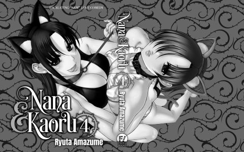 Nana & Kaoru, Vol. 04 Chapter 1 page 529