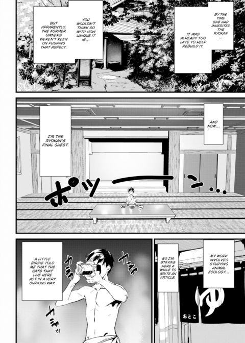 The Cat Spring's Young Matron Chapter 1 page 4