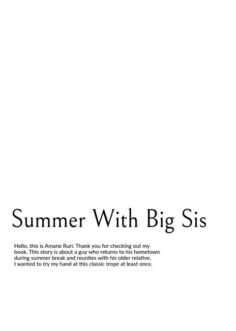 Summer With Big Sis Chapter 1 page 3