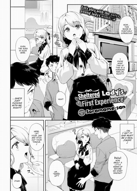 Sheltered Lady's First Experience Chapter 1 page 2