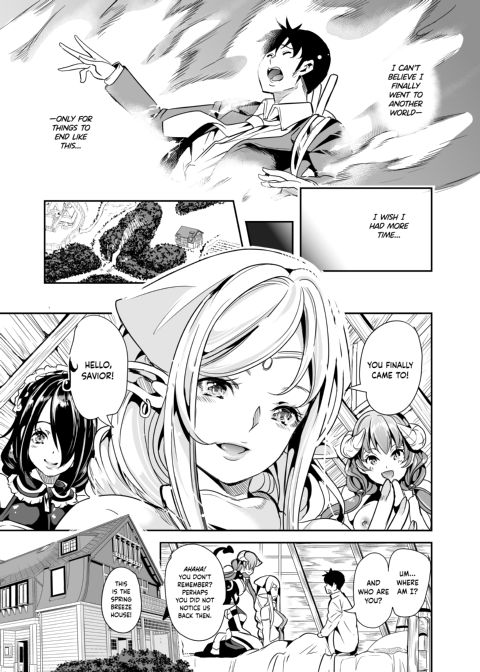 My Harem in Another World: Season 1 Anthology Chapter 1 page 11