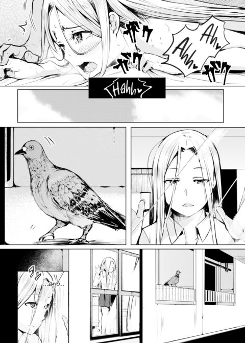 Cryptococcosis Chapter 1 page 14