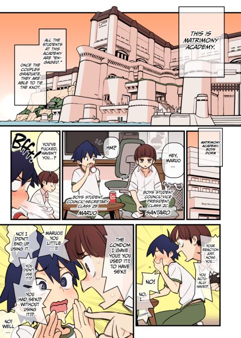 Matrimony Academy FILE:02 - Tempted Once More Chapter 1 page 2