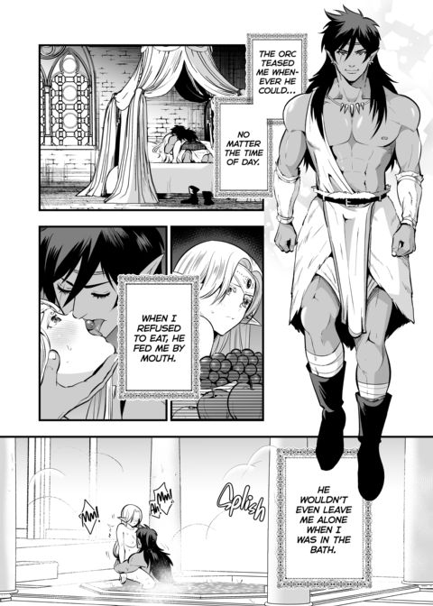 The Orc's Bride: An Elf Held Captive by Pleasure Chapter 1 page 27