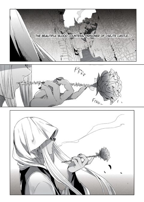 A Báthory fiú Chapter 1 page 67