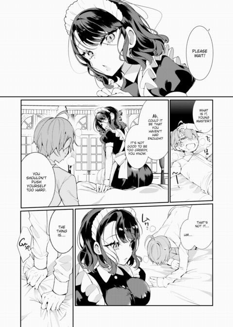 Rui-san, the Insincere Maid Chapter 1 page 15