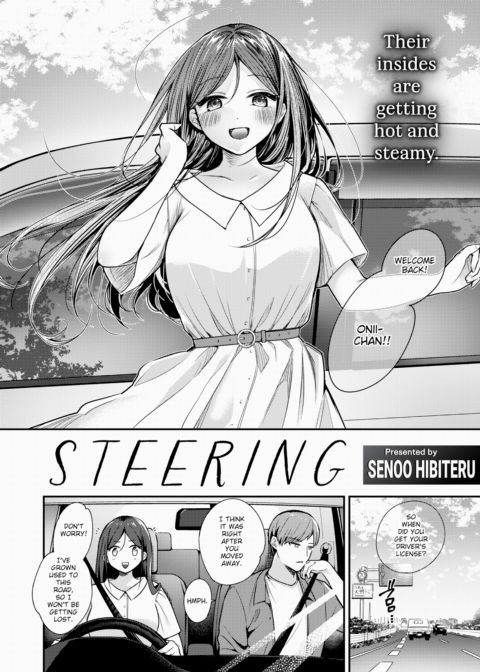 Steering Chapter 1 page 2