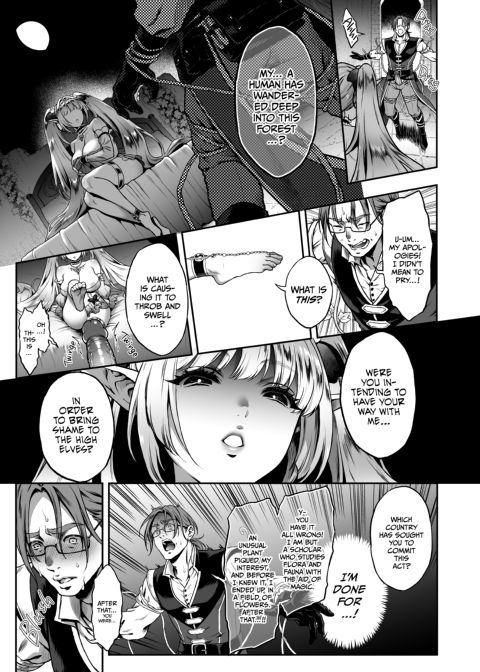 The Everlasting Elf of the Evening - Lucid Dreams Chapter 1 page 13
