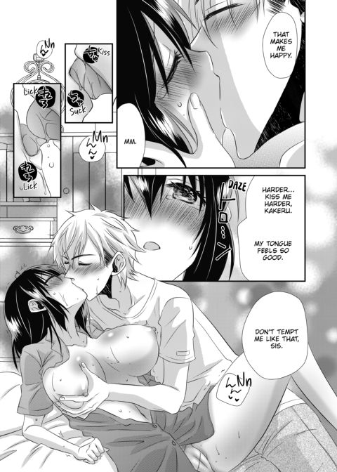 My First Time Is With My Brother... A Pure Sister Gets Corrupted! Volume 2 Chapter 1 page 17