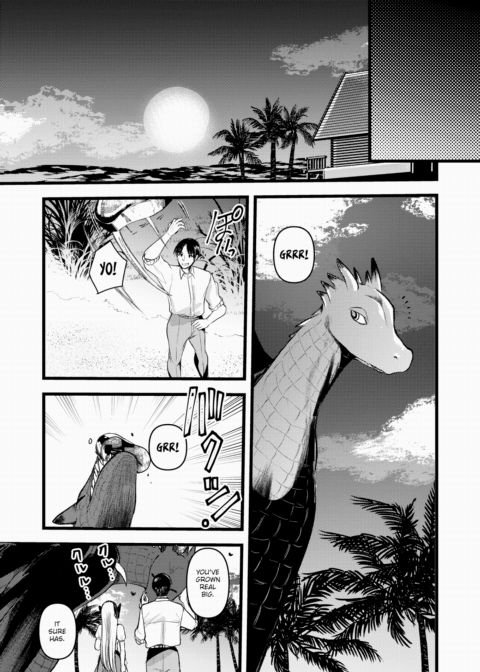 Laid-Back Deserted Island Life With a Level 1 Princess Knight - Episode 11 Chapter 1 page 17