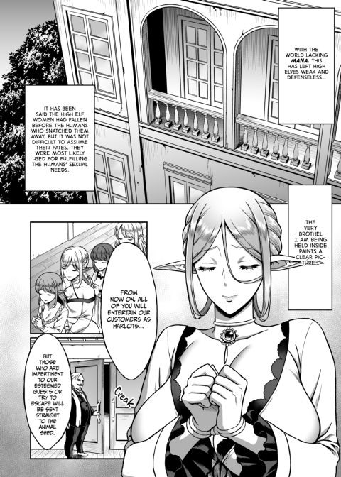 The Twilight Elf of the Evening Compilation - Eilene Part 1 Chapter 1 page 13