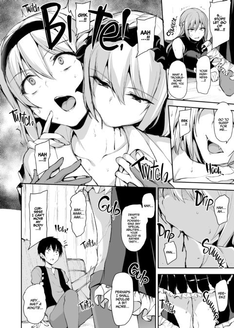 Tales of a Harem in Another World Vol. 7 - Clash! The Vampire Girl Vs. The Haughty Princess + Vol. 7.5 Chapter 1 page 23